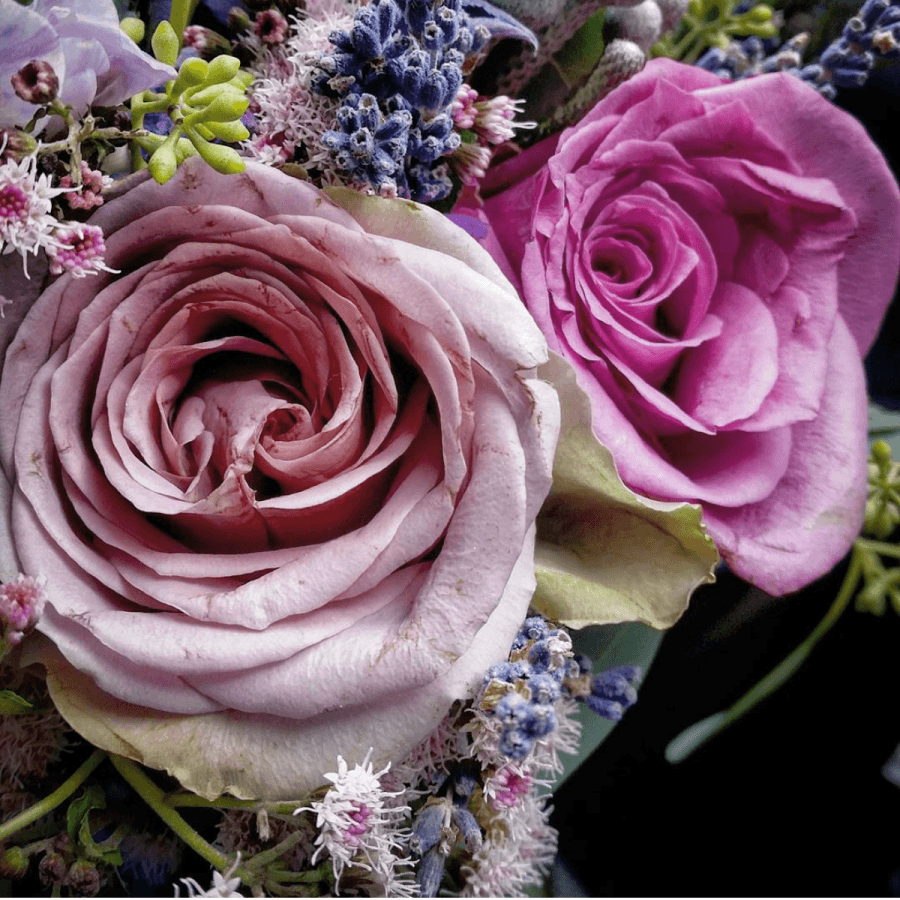 wedding bouquet - lavender (from our garden), antique lilac rose, aster, freesias