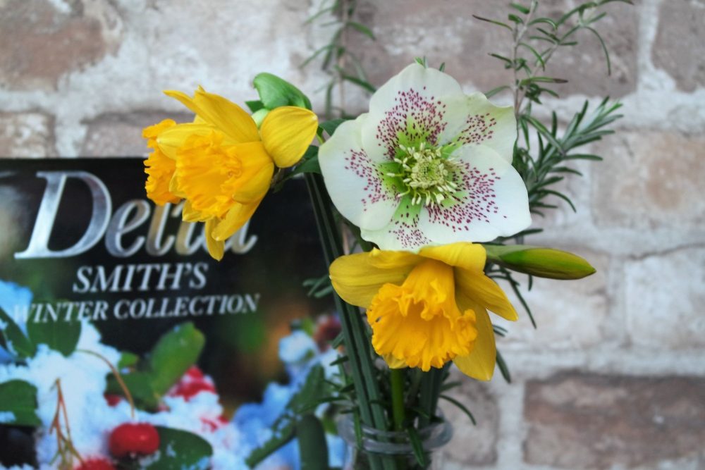 Hellebore and large daffodils in a milk bottle Delia Smith Winter Collection book.